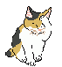 Profile picture for user Jeanmi